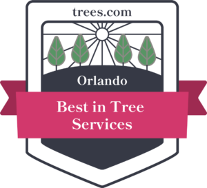 Best Tree Service in Orlando Florida