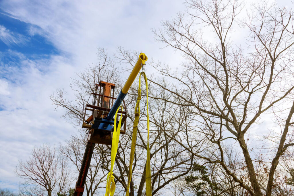 Crane Tree Removal