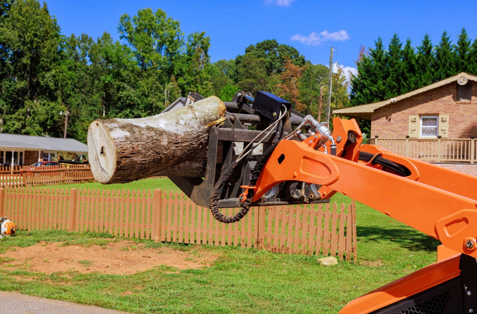 Safe and Smart Tree Removal Tips for Orlando Yards
